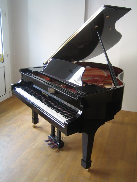 Wendl & Lung Fl&uuml;gel 161