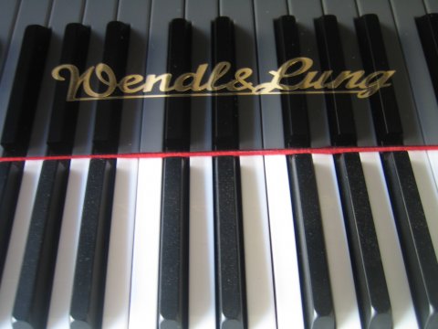 Wendl & Lung Fl&uuml;gel 161