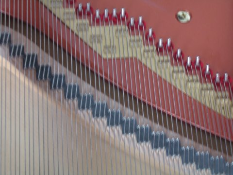 Wendl & Lung Fl&uuml;gel 161