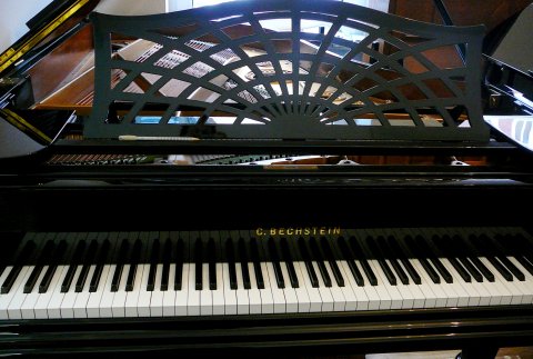 Bechstein Flügel B (2,03m)