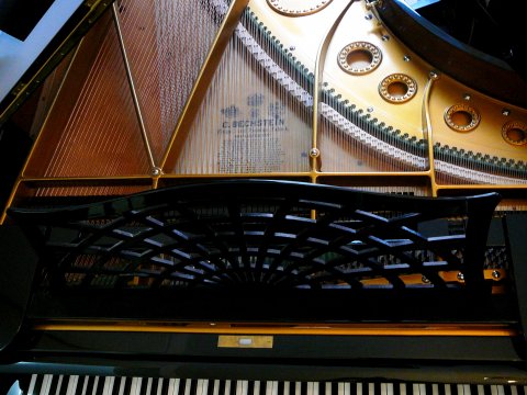 Bechstein Flügel B (2,03m)