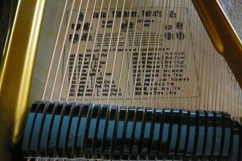 Blüthner Konzertflügel Modell 4  (2,10m)
