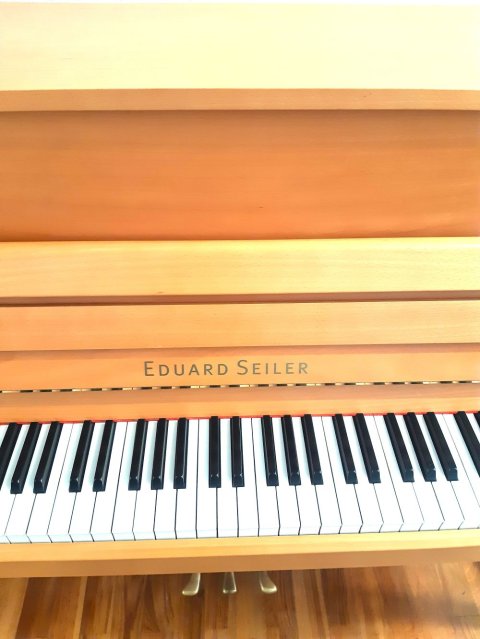 Seiler Klavier Ritmo 116