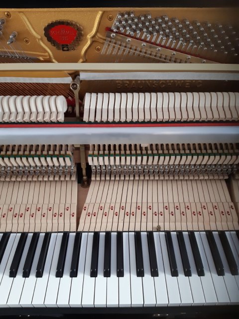 Schimmel Klavier 120 Tradition Noblesse